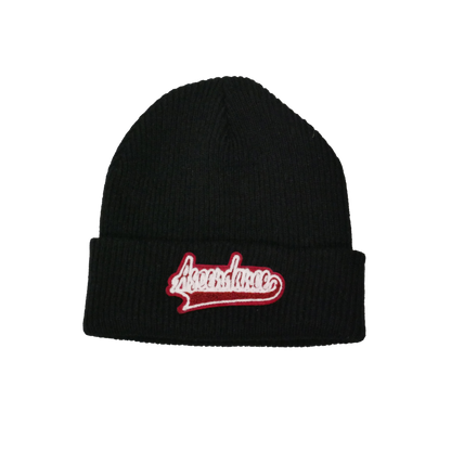 CHENILLE BEANIE